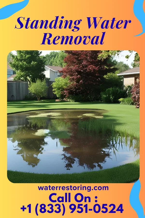 Standing Water Removal in Wells River, VT
